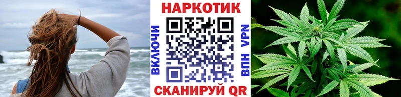 Бошки Шишки Гай
