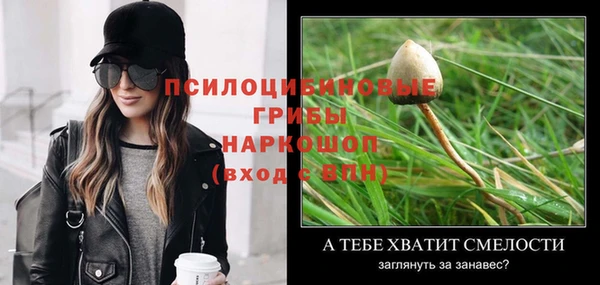 не бодяженный Белокуриха