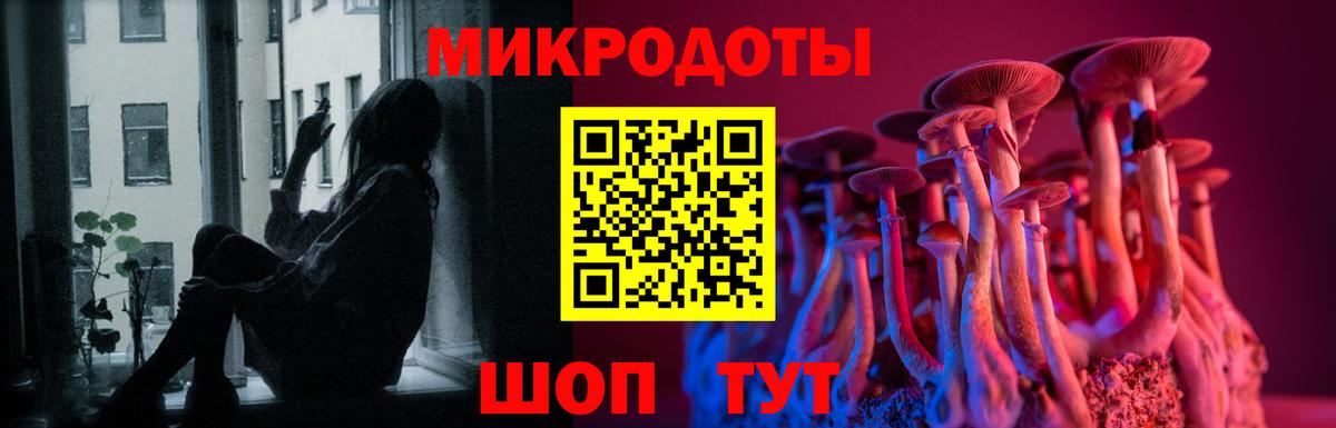 Псилоцибиновые грибы прущие грибы Гай
